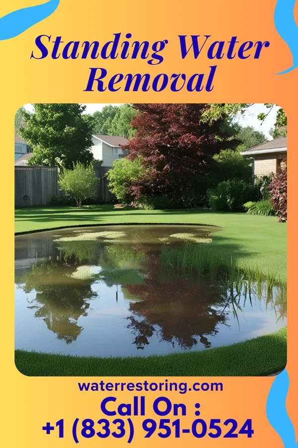 Standing Water Removal in Tuckahoe, NY